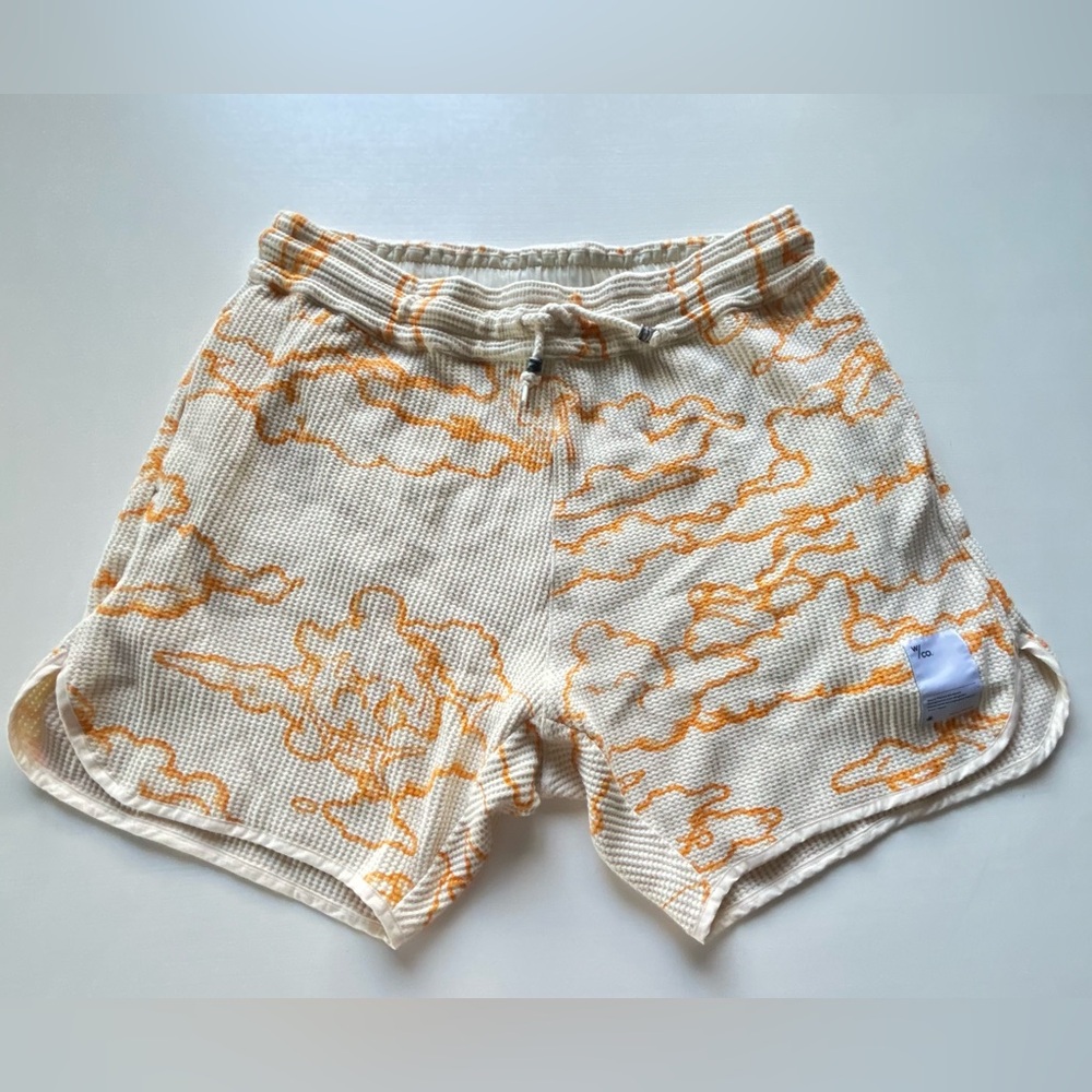 Wasted Collective Good Times Men's Pull-on Shorts

Good condition